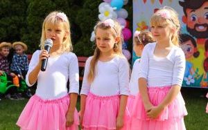 festyn (3)