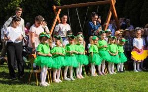 festyn (3)