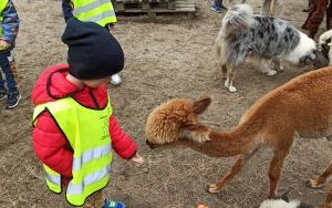 Wycieczka do Zagrody 3 Siostry w Kamieniu  (4)