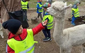 Wycieczka do Zagrody 3 Siostry w Kamieniu  (6)